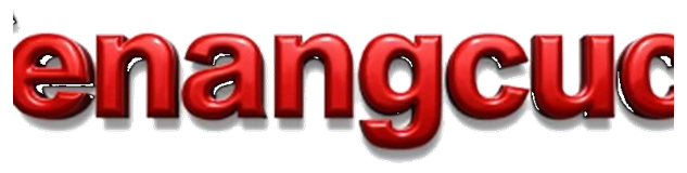 senangcuci logo